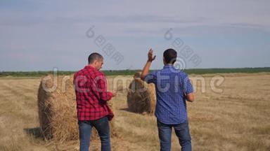 团队农业智慧农业理念.. 两个男农民在数字平板电脑上走在田里的干草堆上